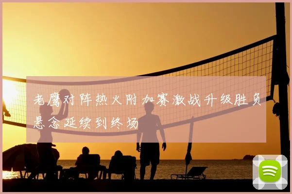 老鹰对阵热火附加赛激战升级胜负悬念延续到终场