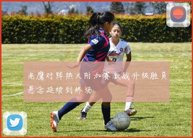 老鹰对阵热火附加赛激战升级胜负悬念延续到终场