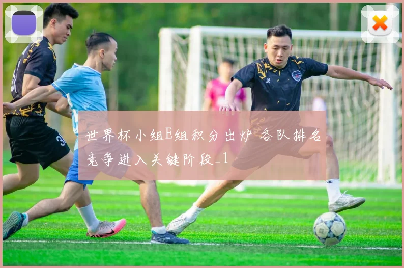 世界杯小组E组积分出炉 各队排名竞争进入关键阶段_1