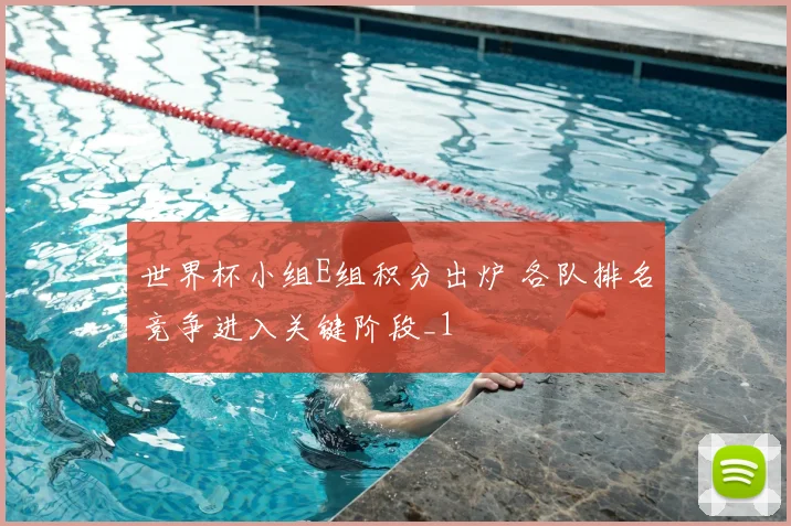 世界杯小组E组积分出炉 各队排名竞争进入关键阶段_1