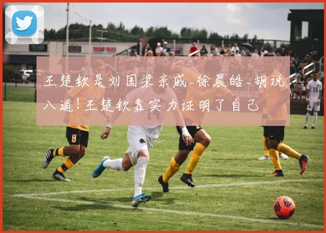 王楚钦是刘国梁亲戚_徐晨皓_胡说八道!王楚钦靠实力证明了自己