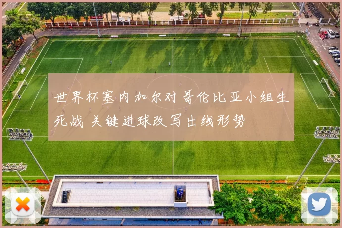 世界杯塞内加尔对哥伦比亚小组生死战 关键进球改写出线形势